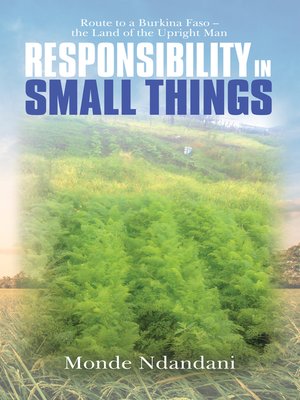 cover image of Responsibility in Small Things